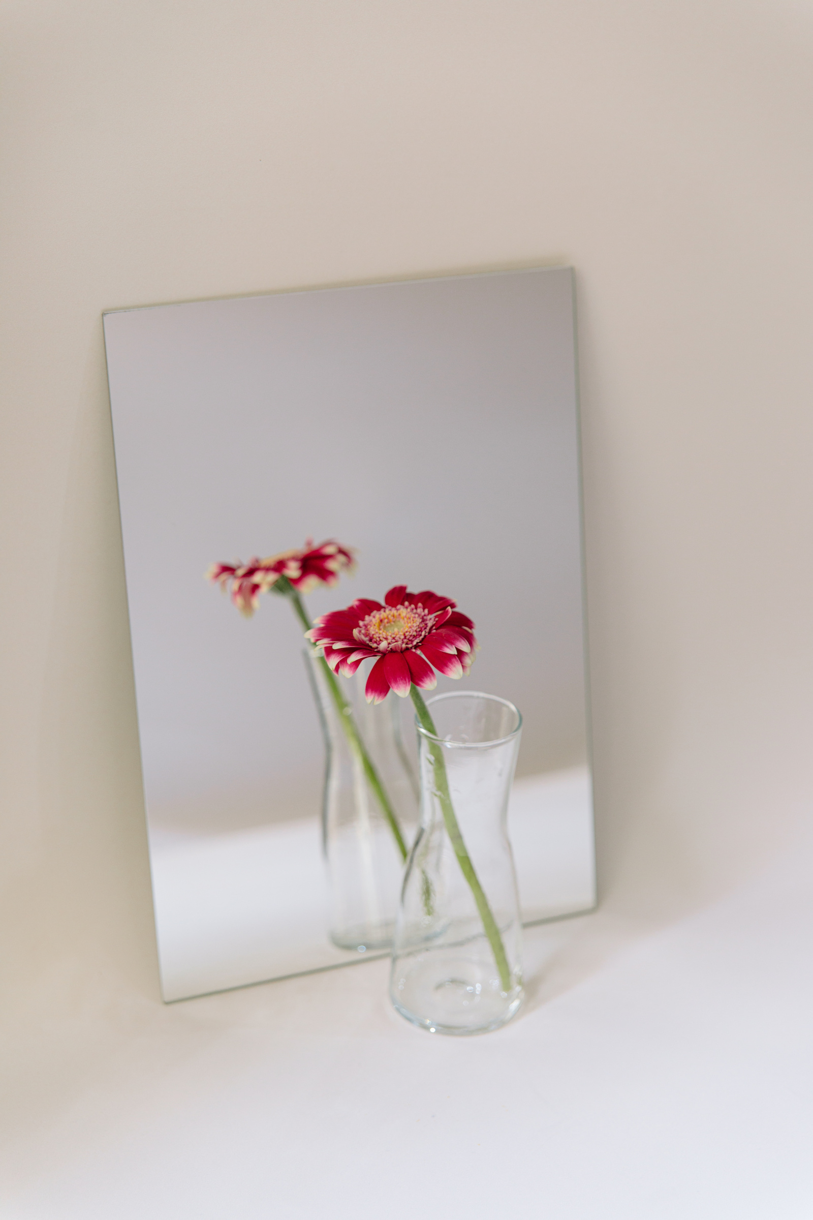 Red Daisy Reflected on Mirror